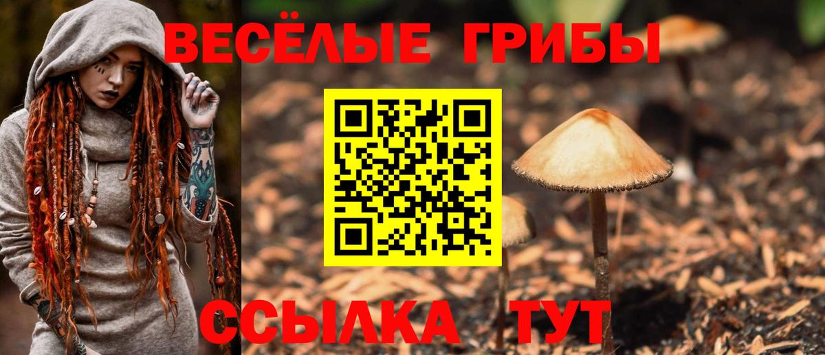 Галлюциногенные грибы мухоморы Коломна